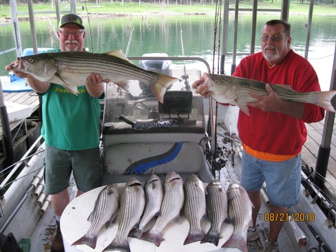 Nice Striped Bass